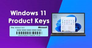 Windows 11 pro professional key